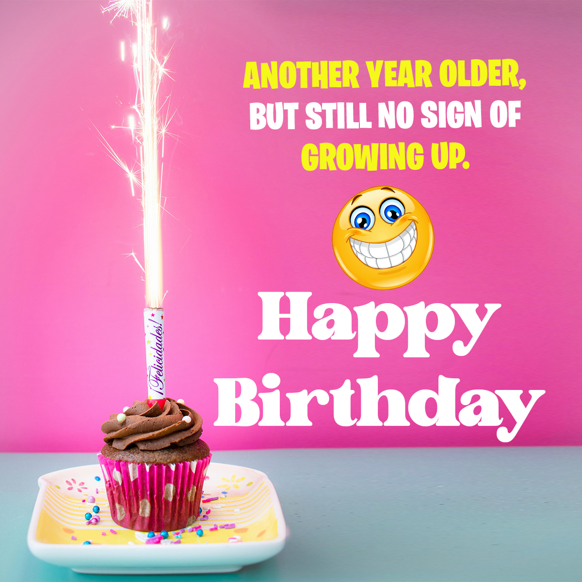 Funny Birthday Picture Quotes
