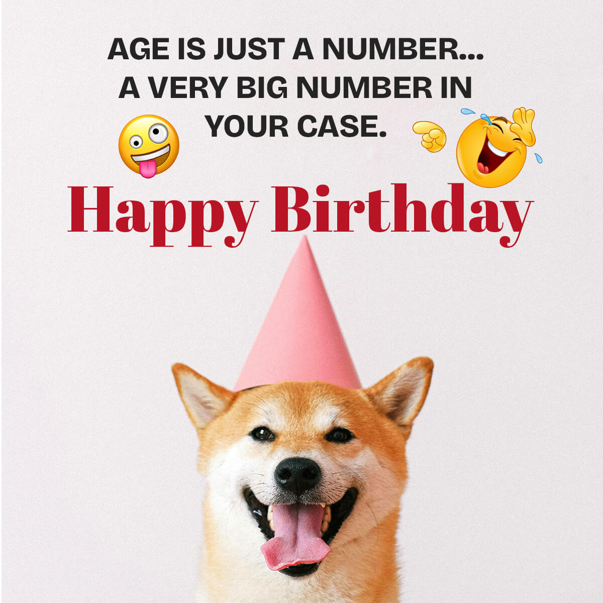 Funny Birthday Wishes Pic