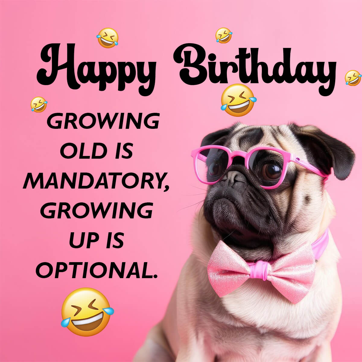 Hilarious Birthday Image