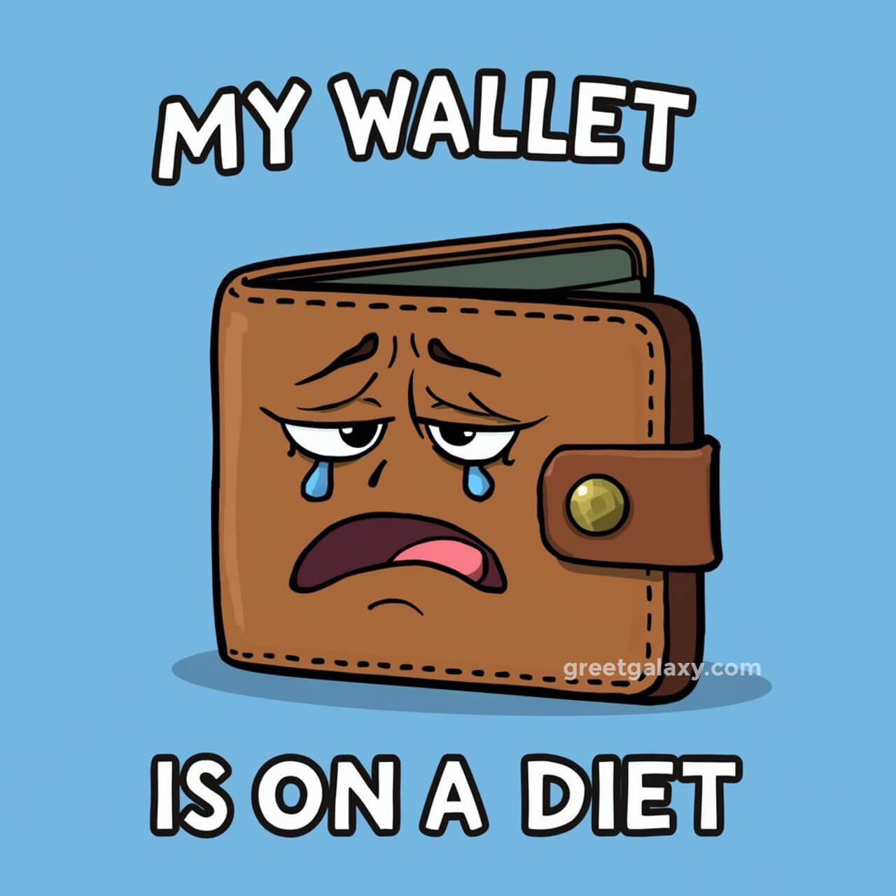 My Wallet Is On A Diet.