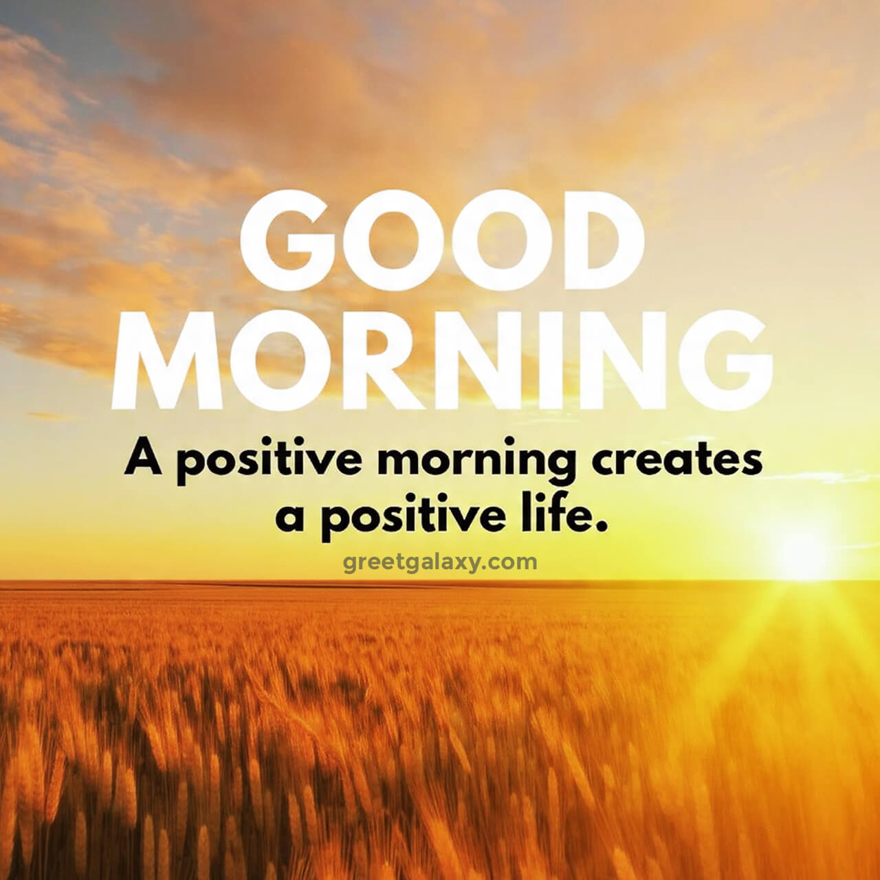 Beautiful Good Morning Images With Positive Energy
