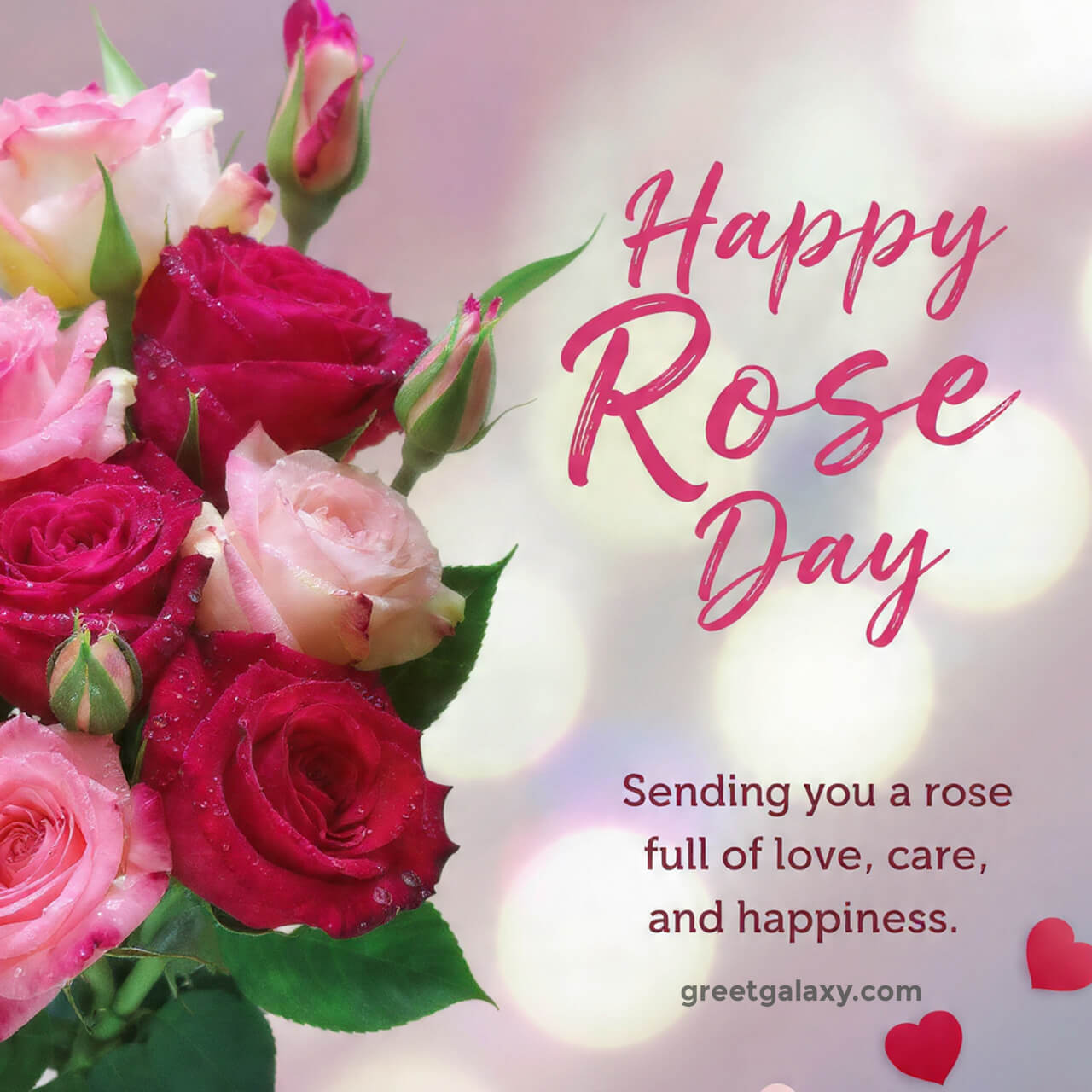 Beautiful Rose Day Wishes Images In English