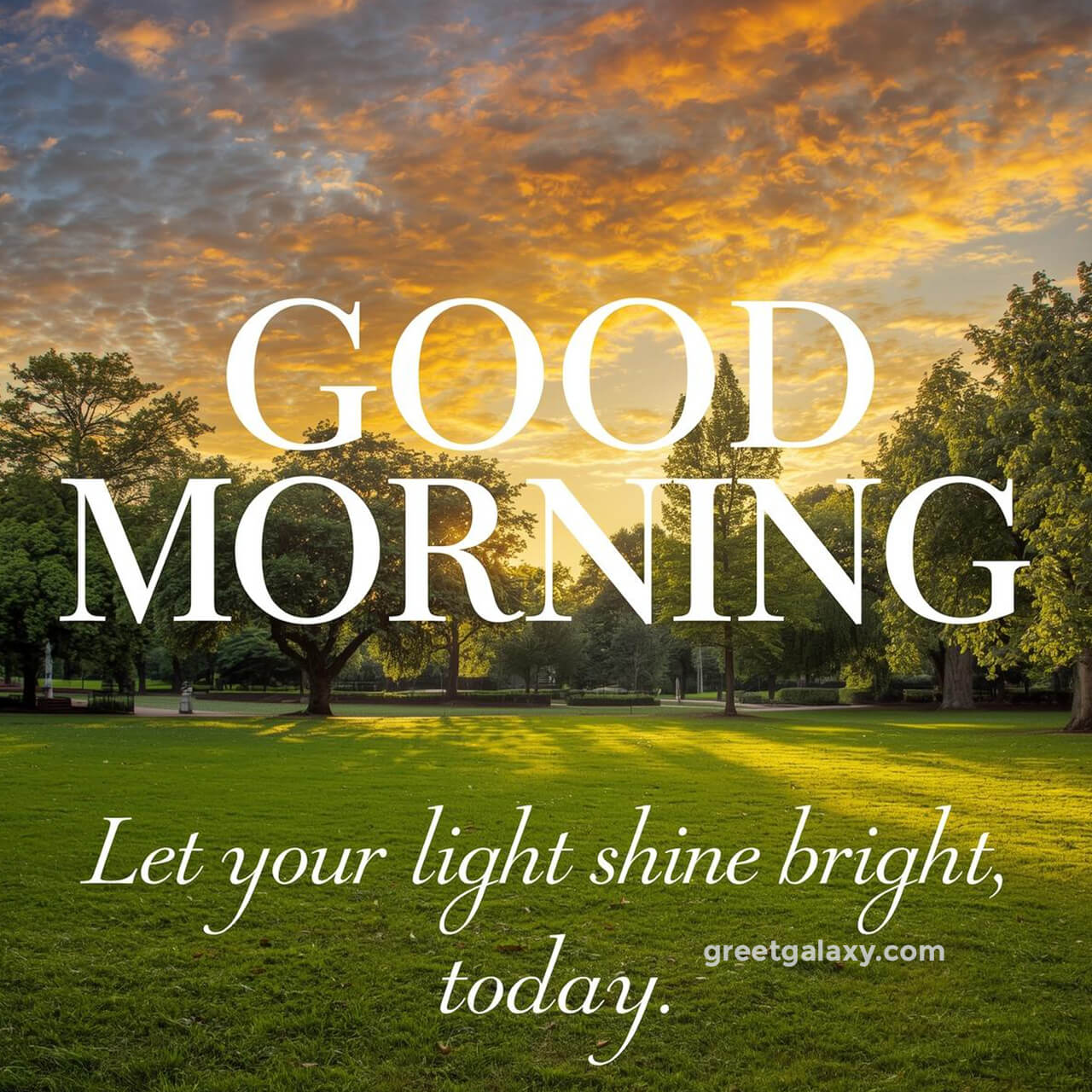 Good Morning Images With Calm And Relaxing Vibes