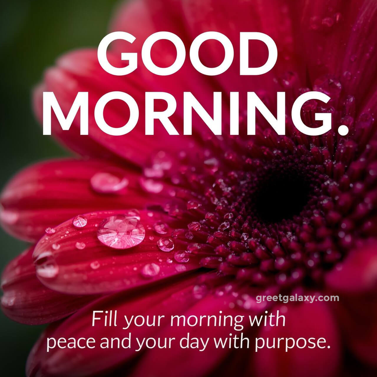 Good Morning Images With Flowers And Nature Quotes