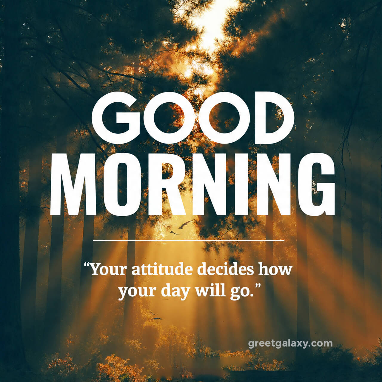 Good Morning Images With Hope And Positivity