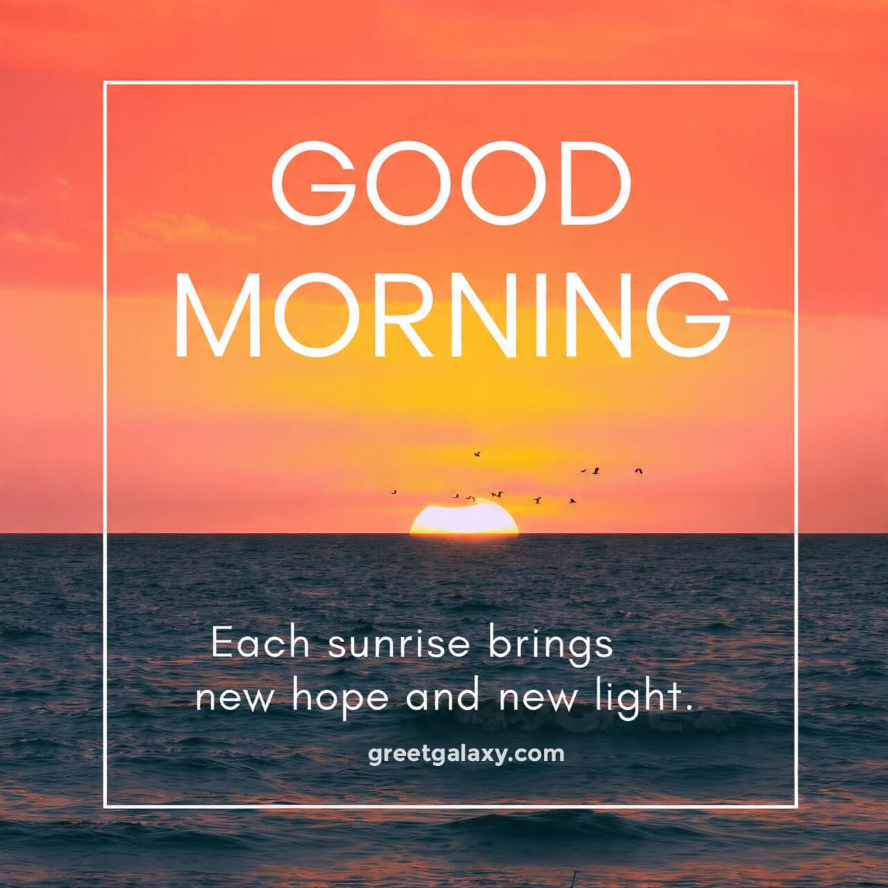 Good Morning Images With Nature And Motivation