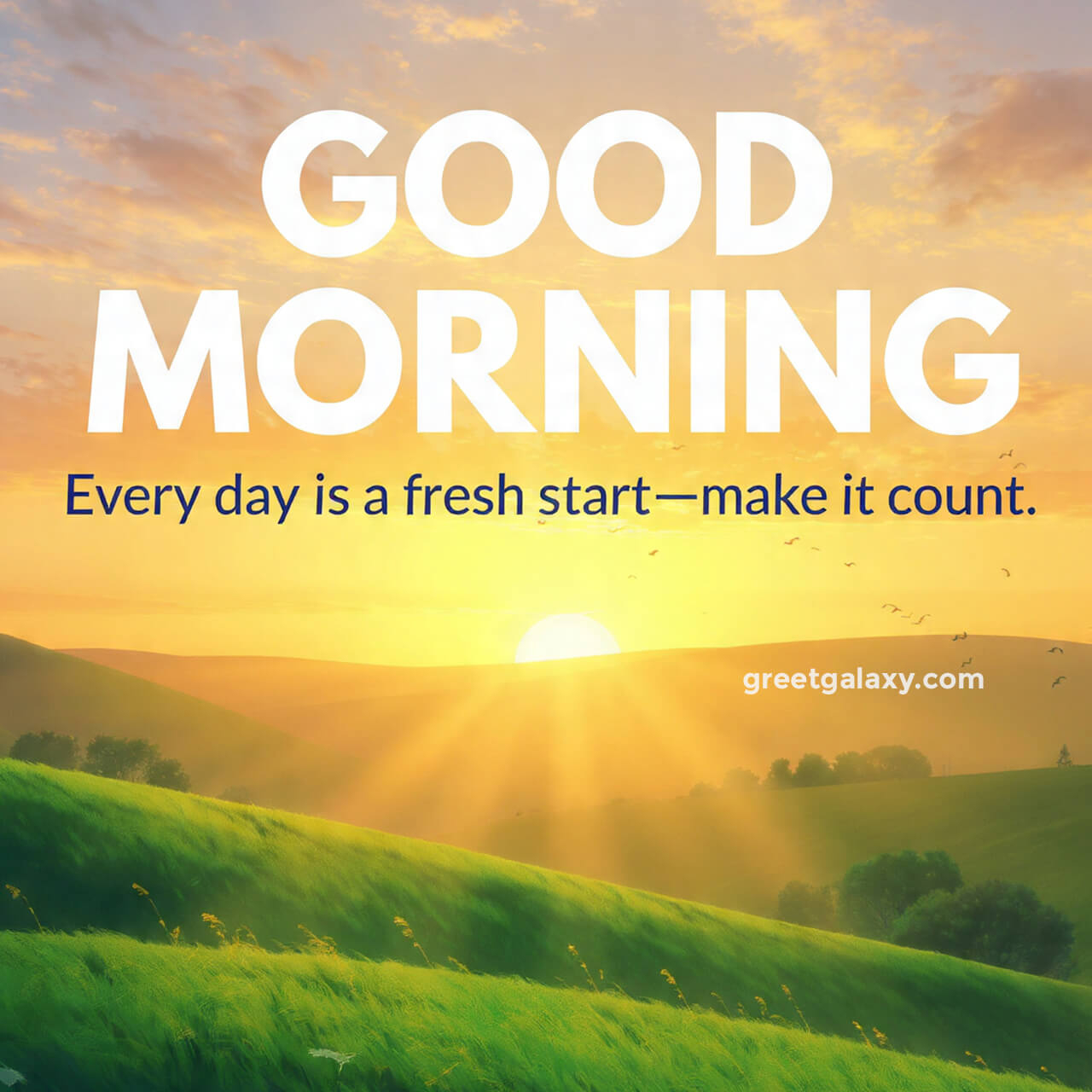 Good Morning Images With Positive Quotes For A Fresh Start