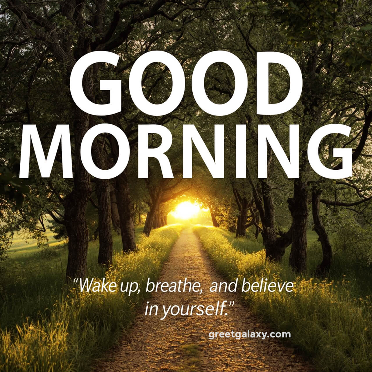 Good Morning Images With Relaxing Morning Views