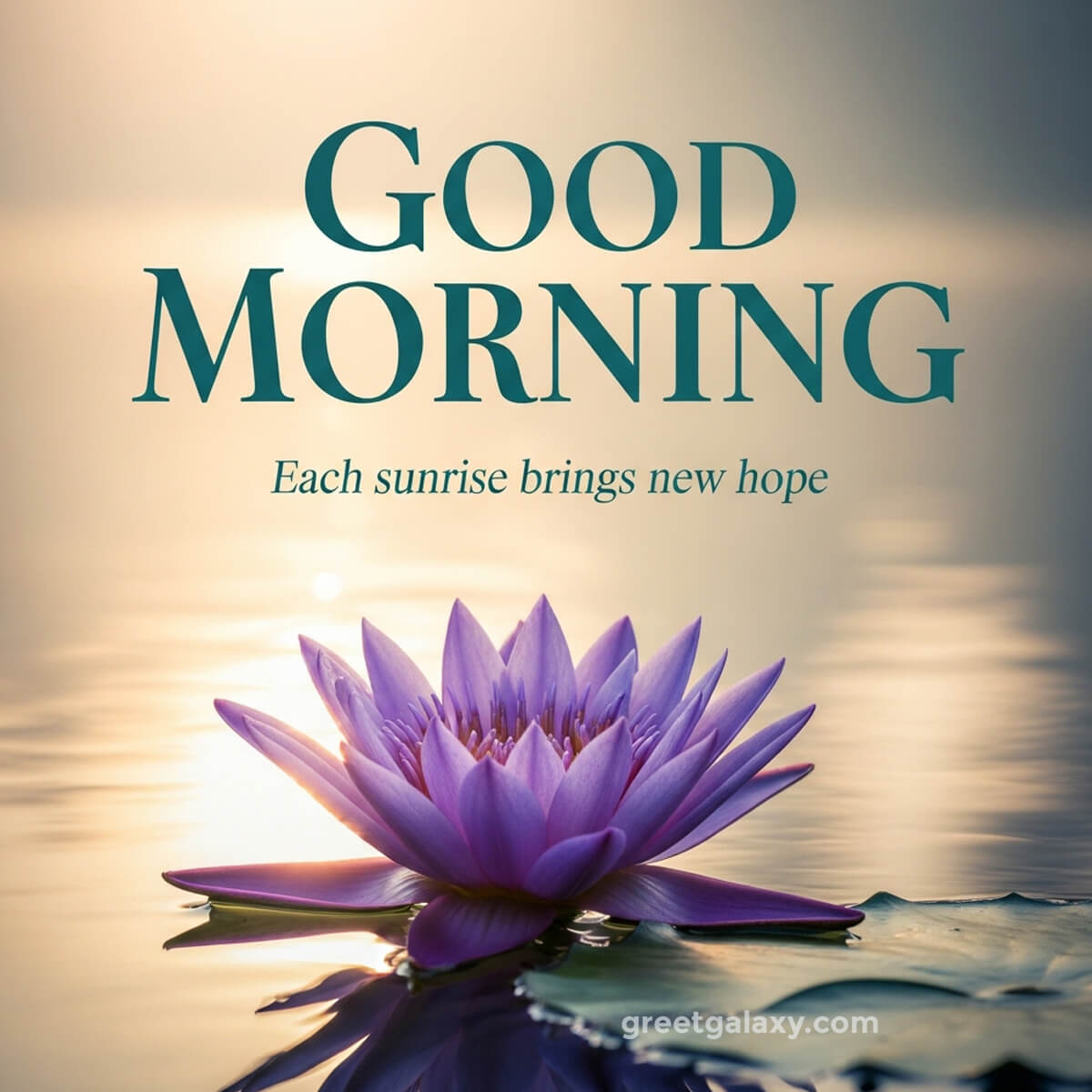 Good Morning Real Flowers Love