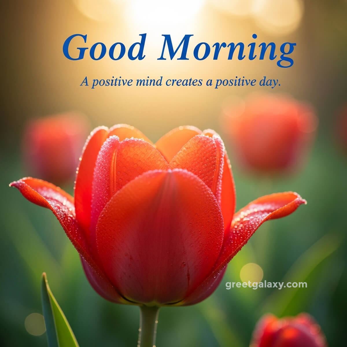 Good Morning Flowers Images With Quotes