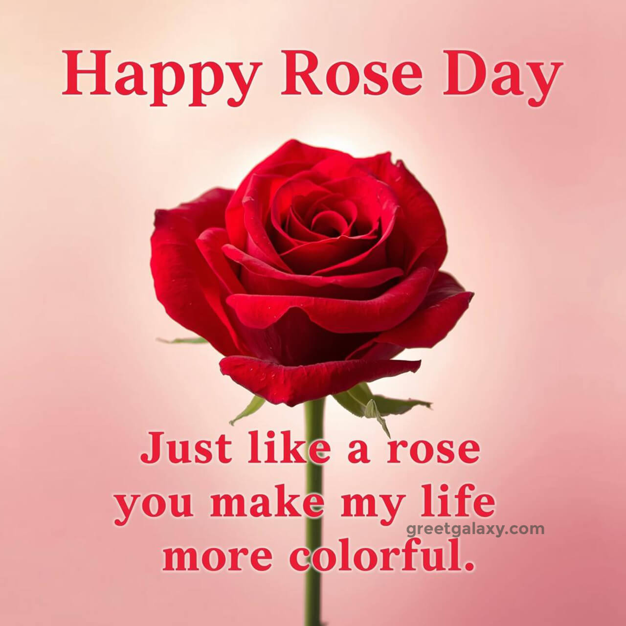 Happy Rose Day Images With Beautiful Rose Background