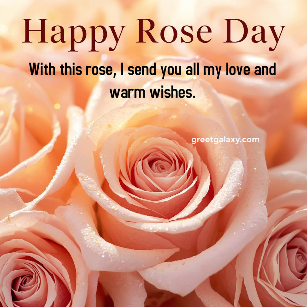 Happy Rose Day Romantic Wishes Images Hd