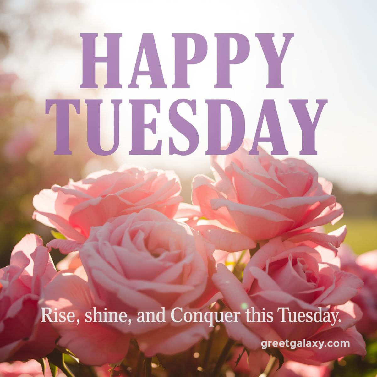 Happy Tuesday Images For Work