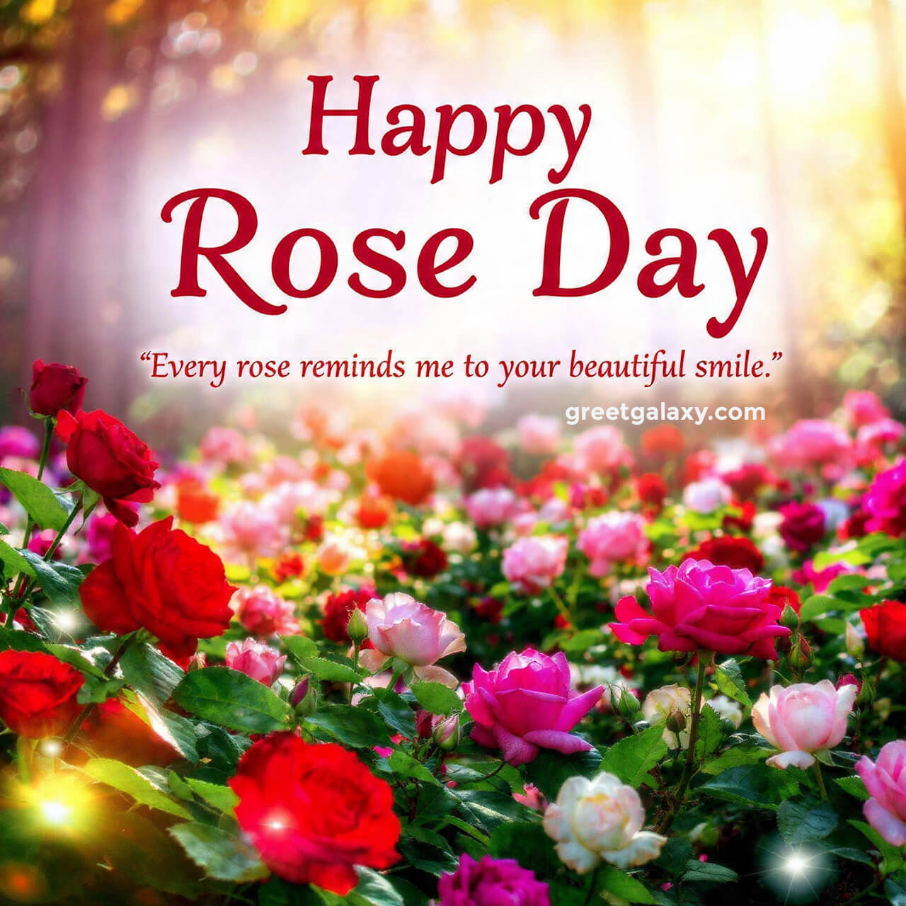 Latest Happy Rose Day Images For Valentine Week