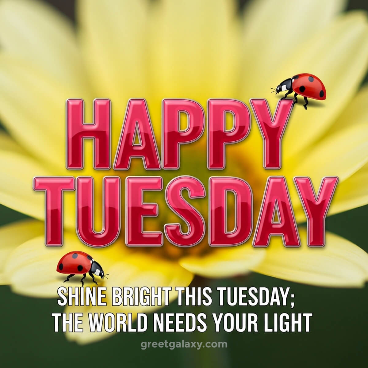 Positive Happy Tuesday Images And Quotes