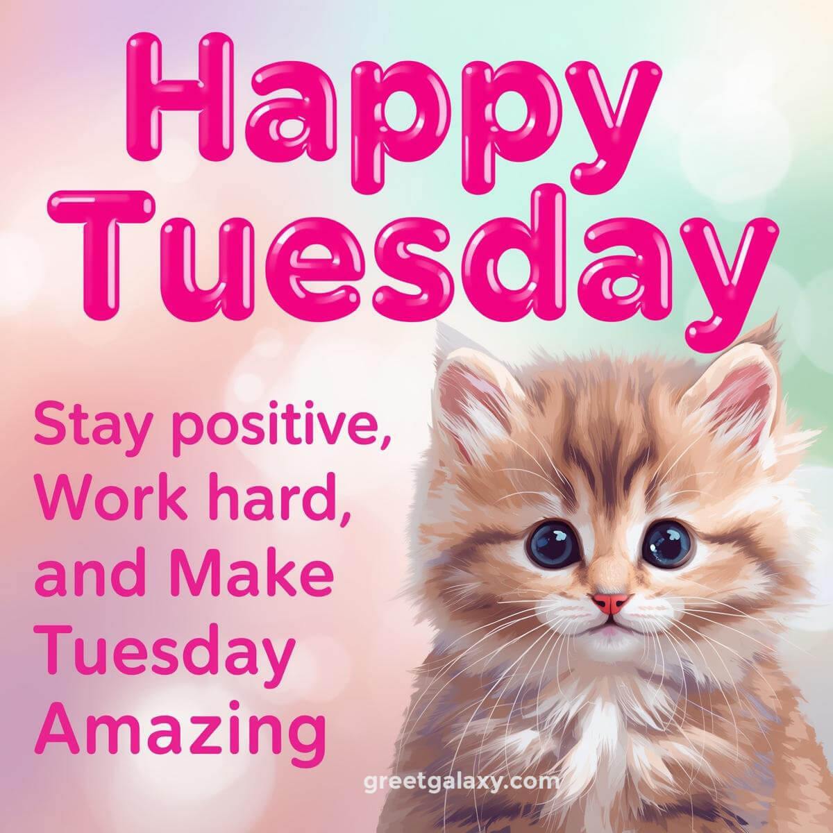 Positive Happy Tuesday Images Free Download