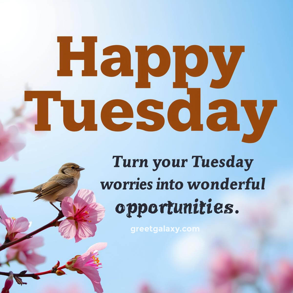Positive Happy Tuesday Images Free