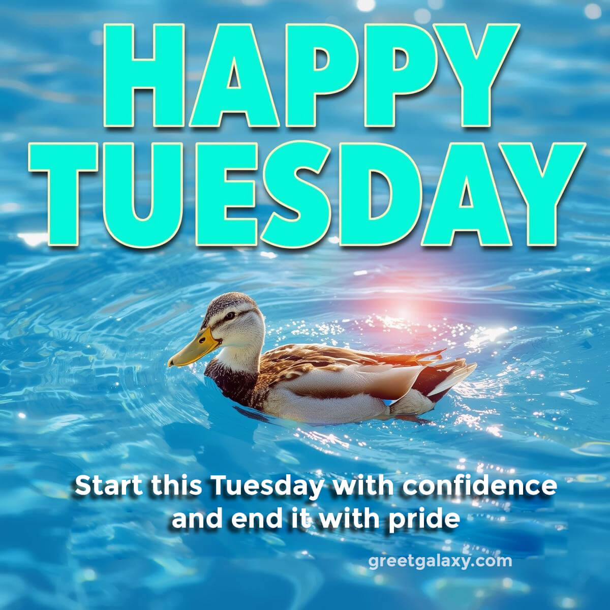 Positive Happy Tuesday Images Gif