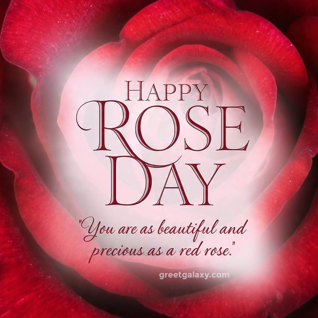 Rose Day Special Images For Lovers