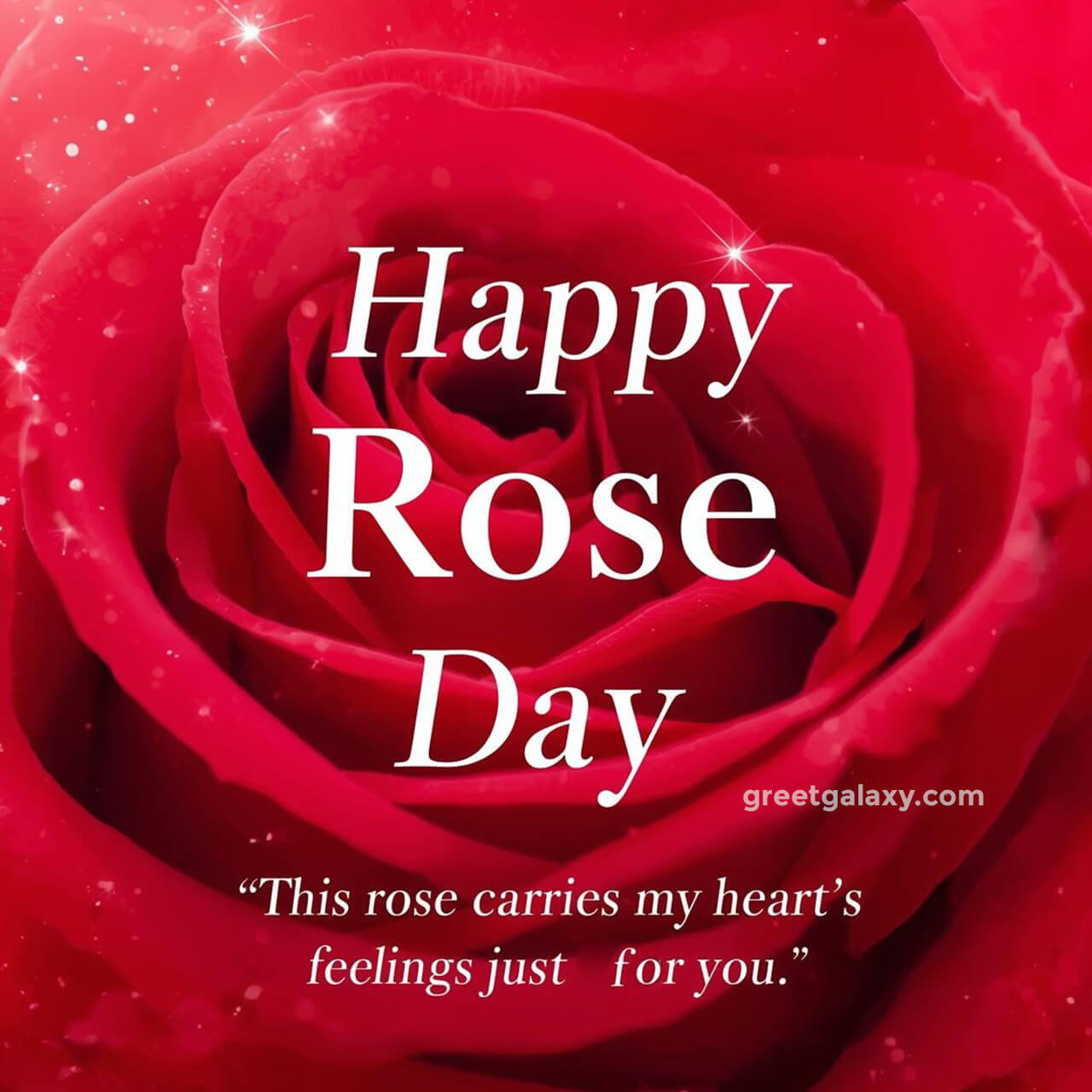 Simple Happy Rose Day Images With Red Flower