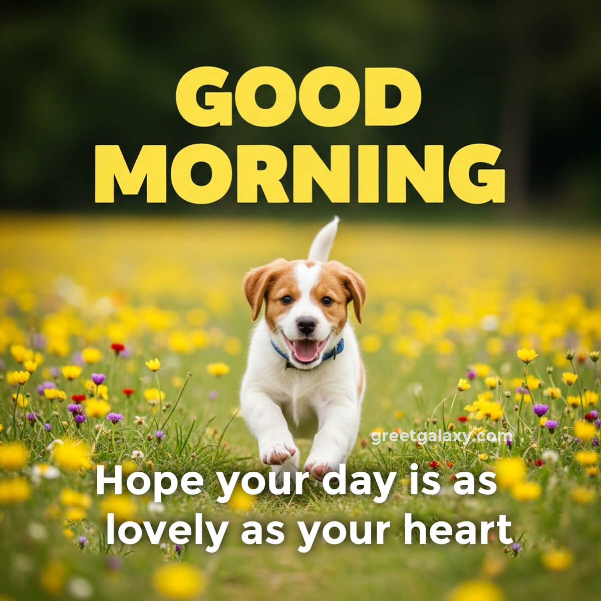 Special Good Morning Wishes