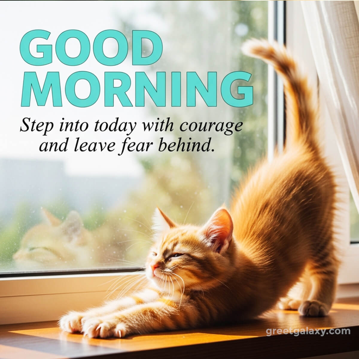 Special Good Morning Wishes