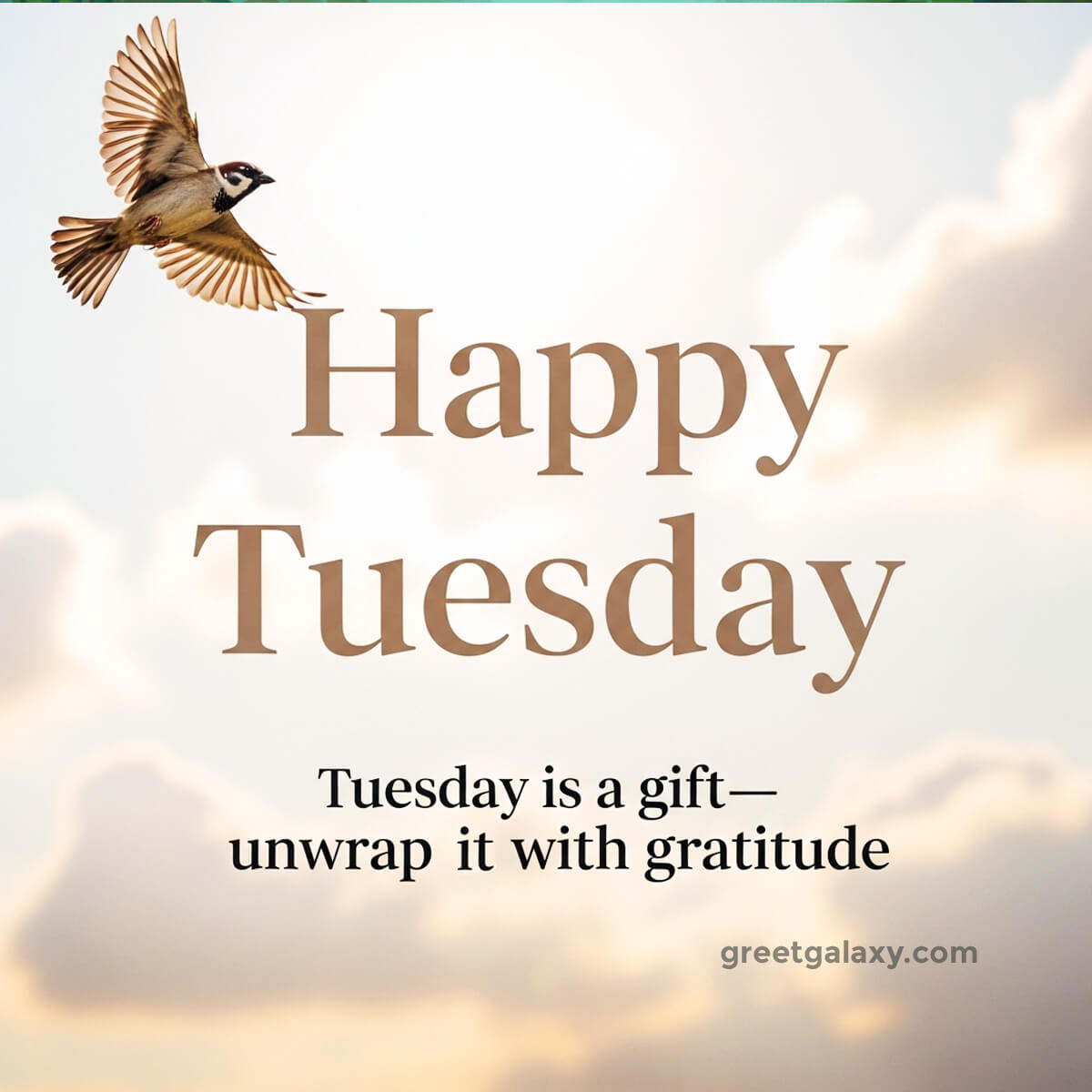 Tuesday Quotes Positive