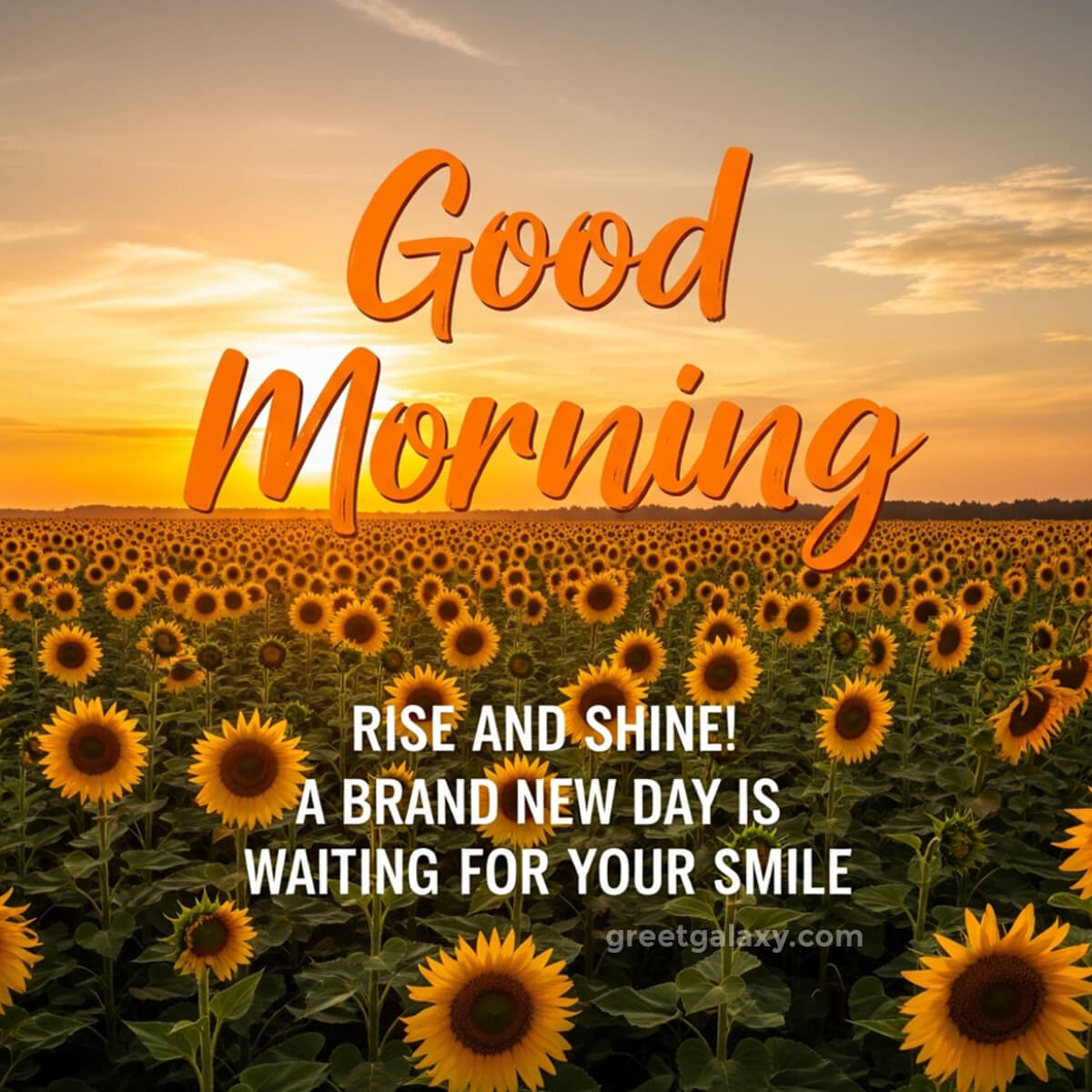 Unique Good Morning Quotes Short