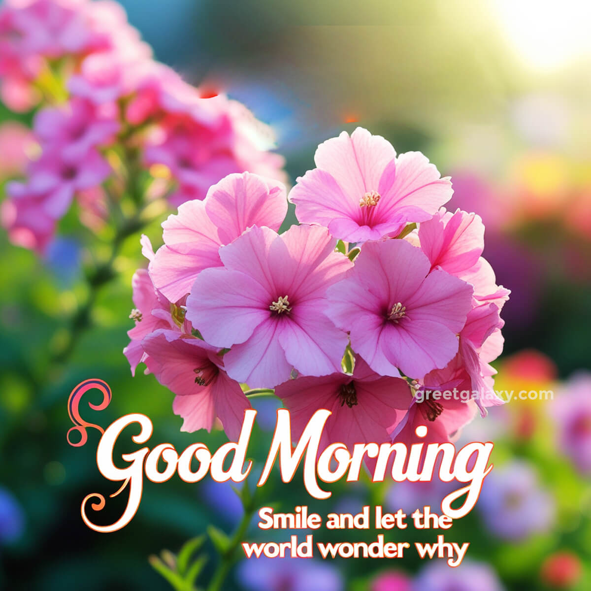 Beautiful Good Morning Flowers