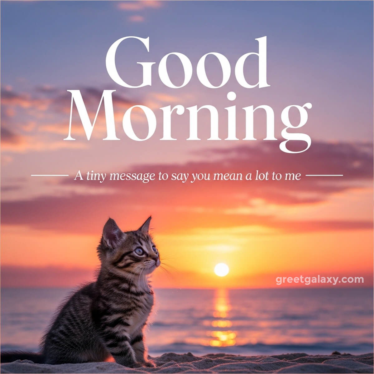 Cute Beautiful Good Morning Quotes