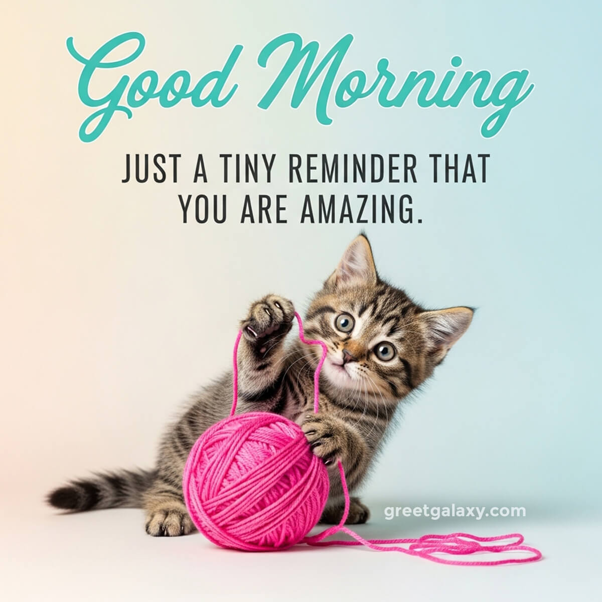 Funny Cute Beautiful Good Morning Messages