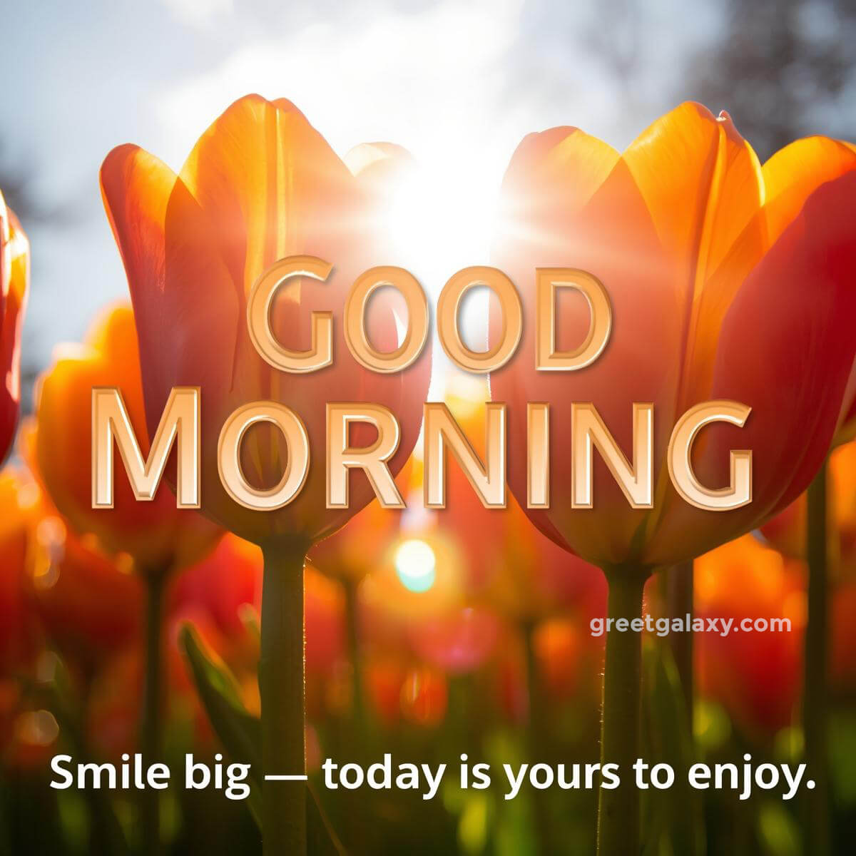 Happy Good Morning Cute