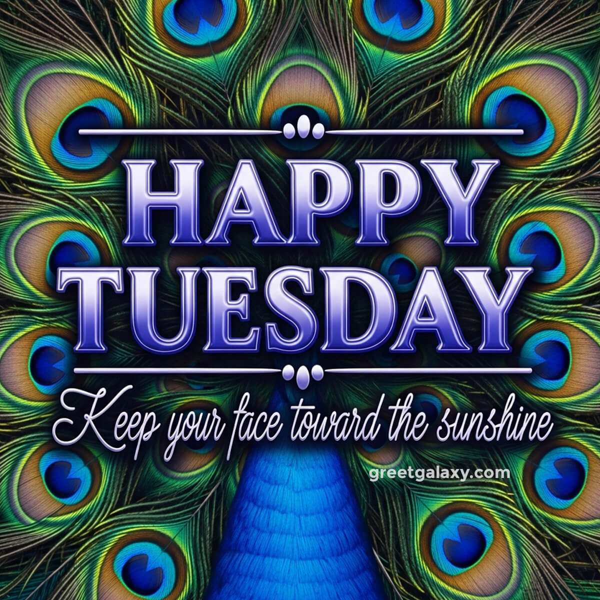 Humor Good Morning Tuesday