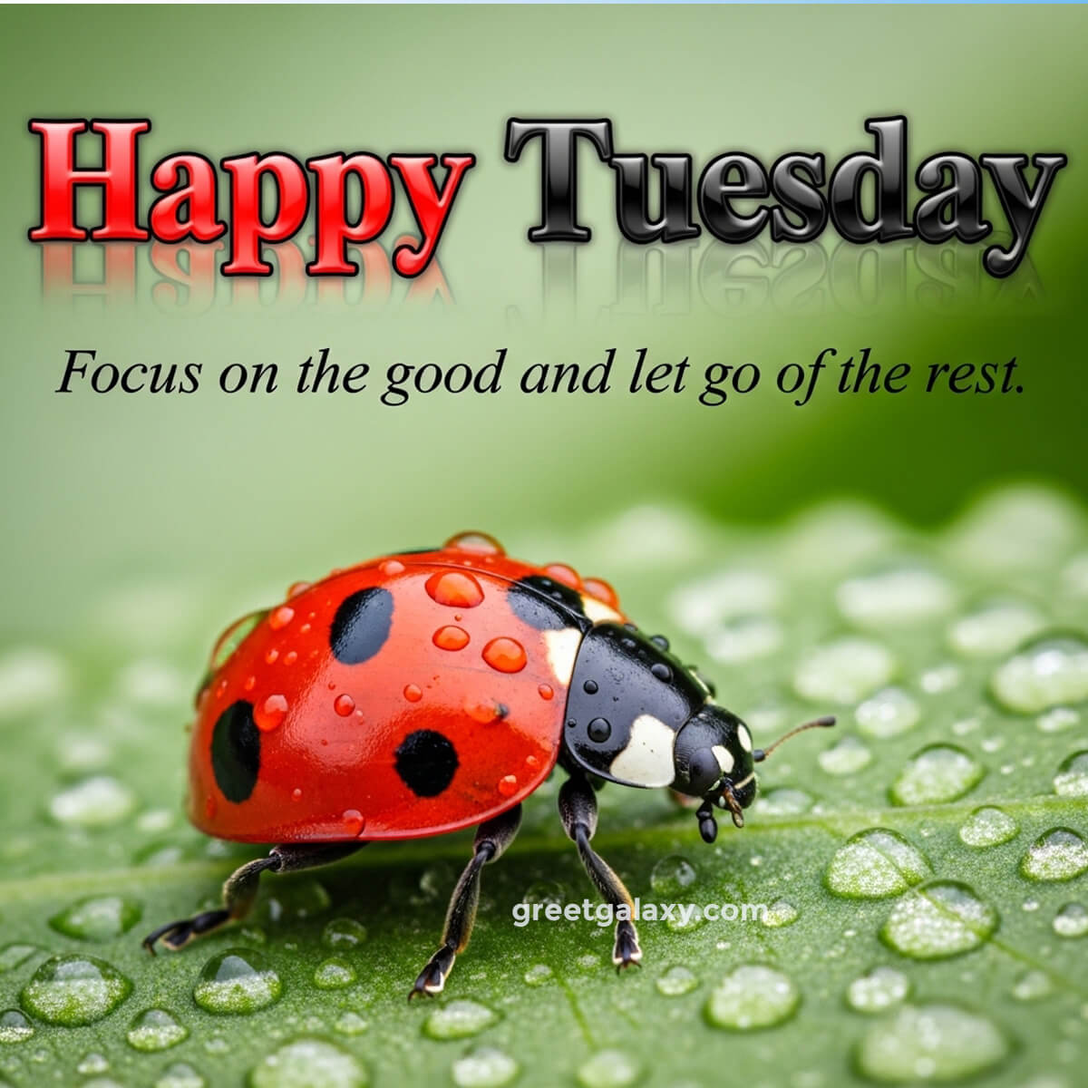 Motivation Tuesday Morning Inspirational Quotes