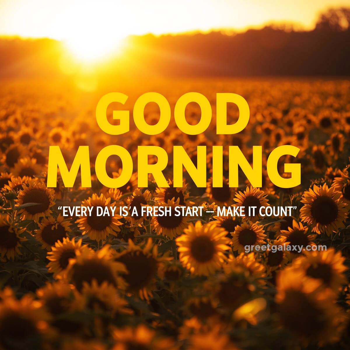 Positive Thoughts Inspirational Life Good Morning Quotes