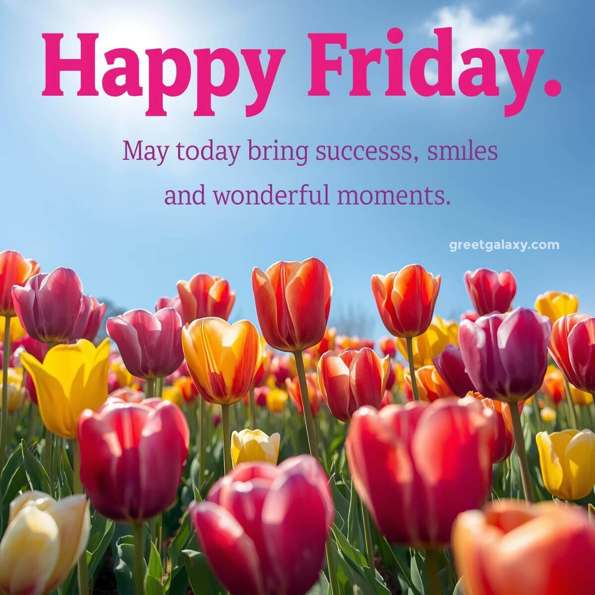 Positive Beautiful Happy Friday Greetings