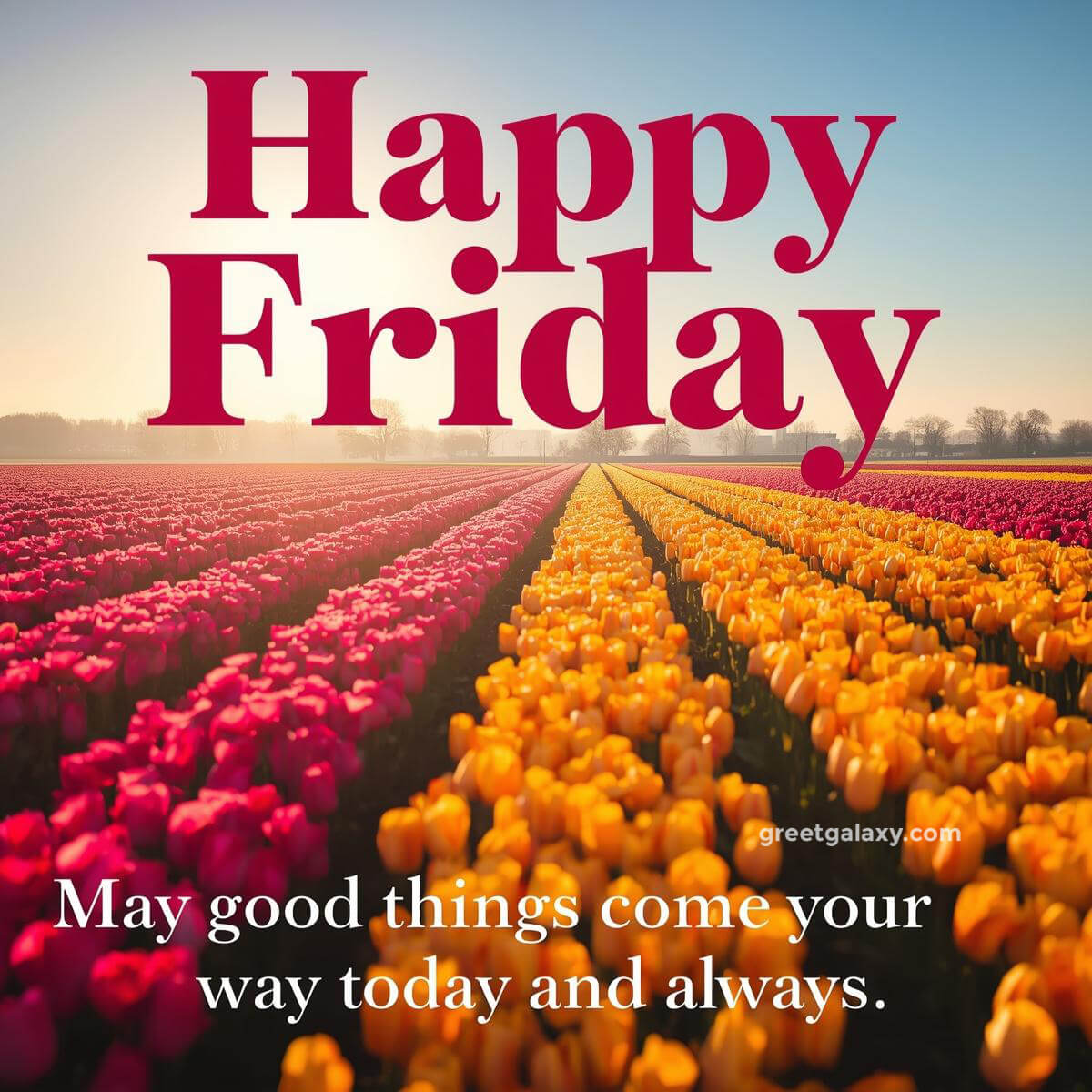 Positive Beautiful Happy Friday Images With Quotes