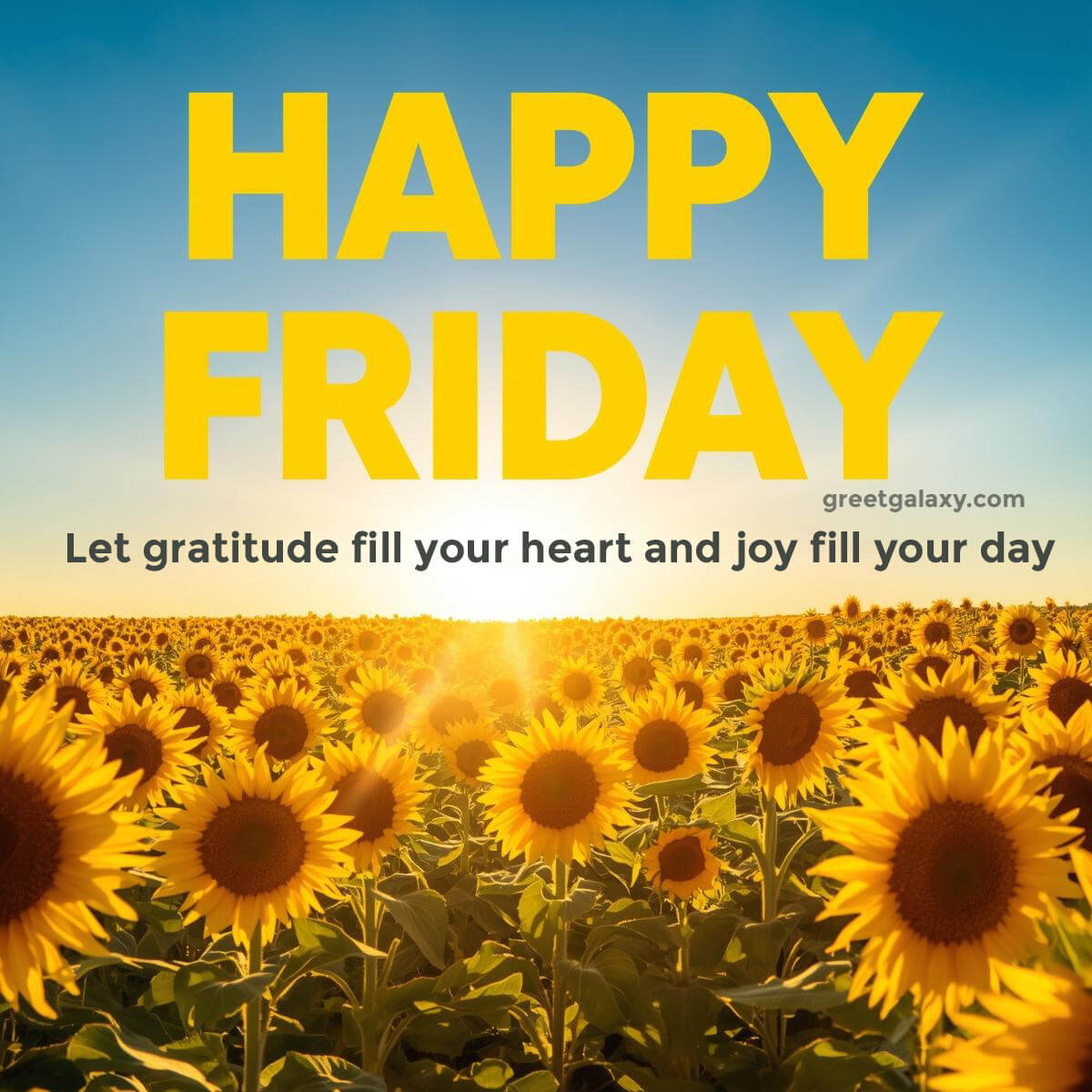 Beautiful Friday Flowers Images